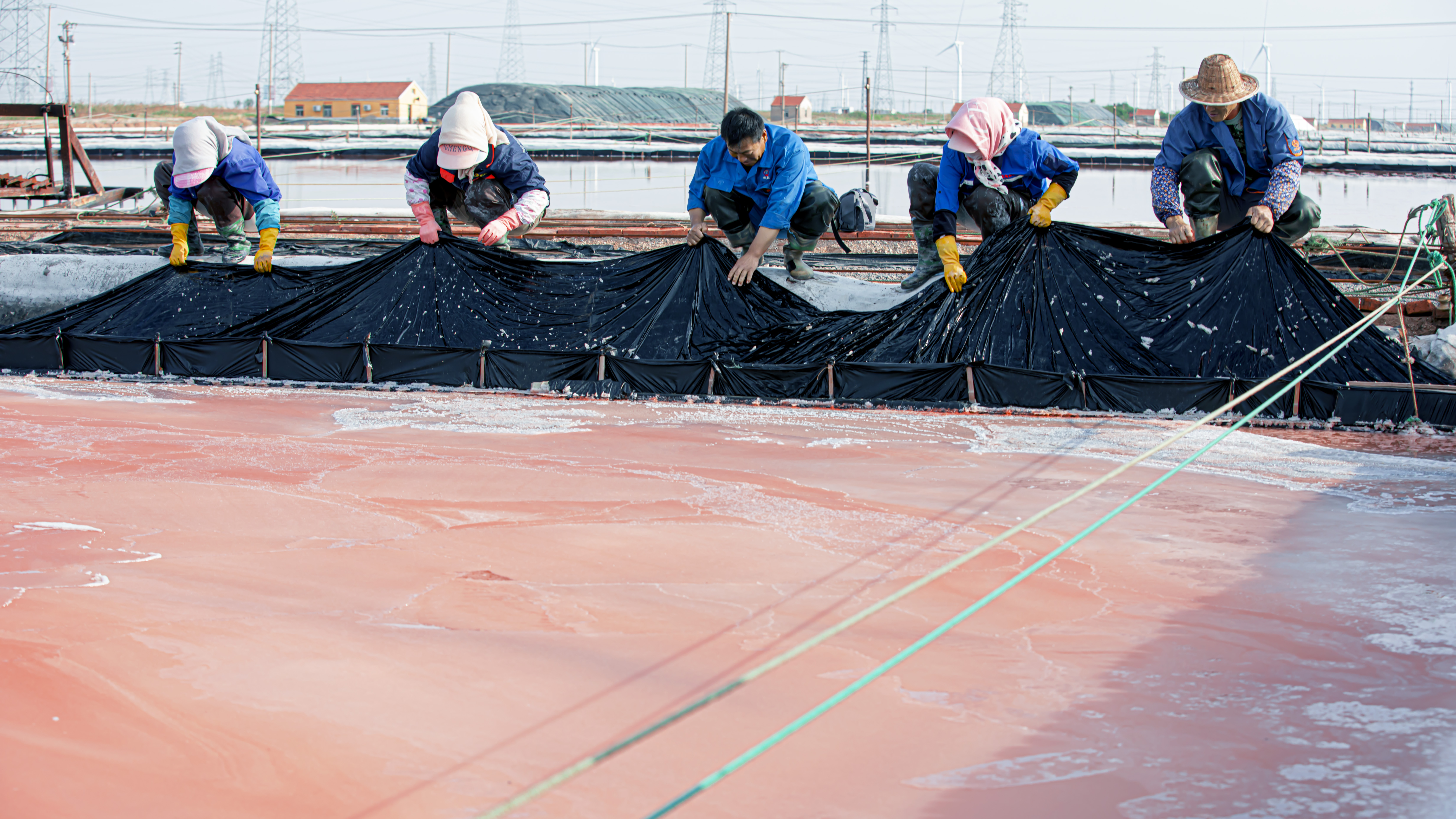 mmexport1654759829698.jpg mmexport1654759829698.jpg